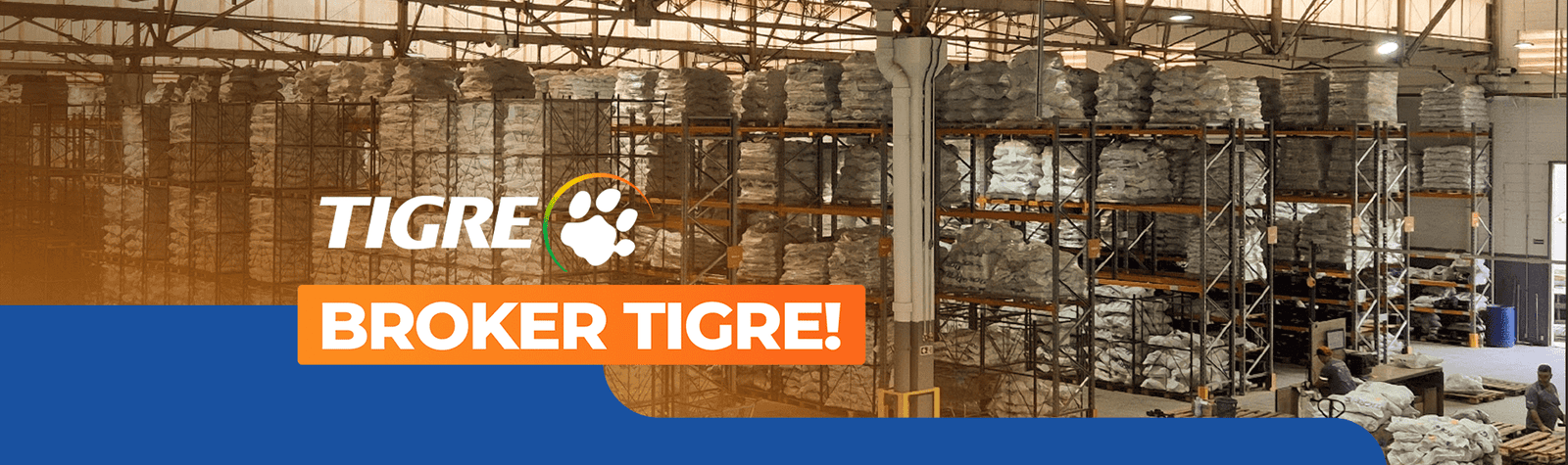 Banner tigre full